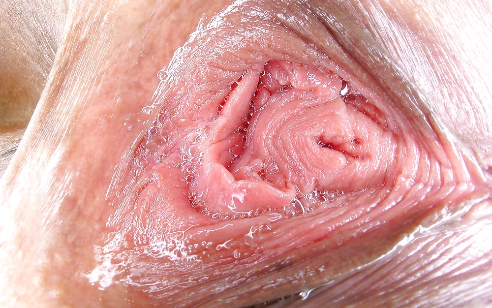 Labias - schamlippen
 #34188715