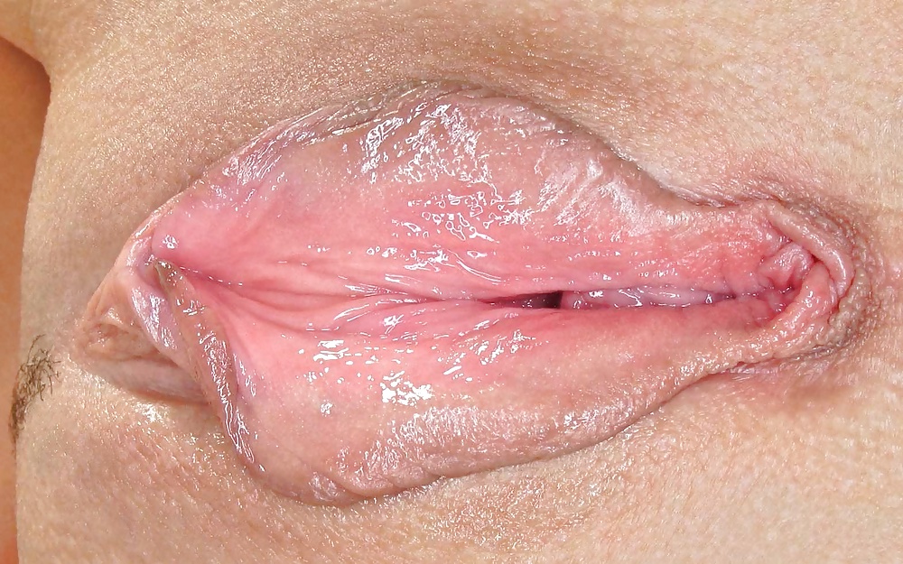 Labias - schamlippen
 #34188723