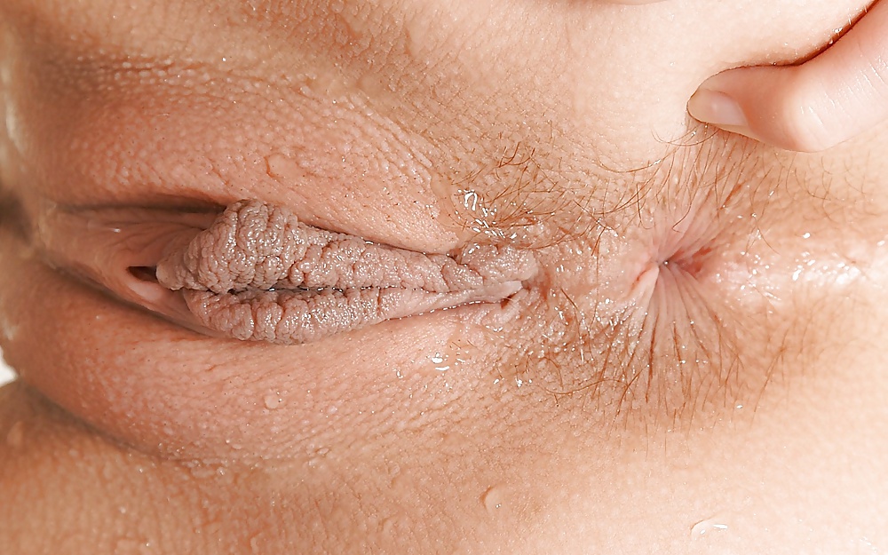 Labias - schamlippen
 #34188815