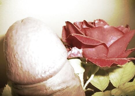 Pegasus71
 #36018046