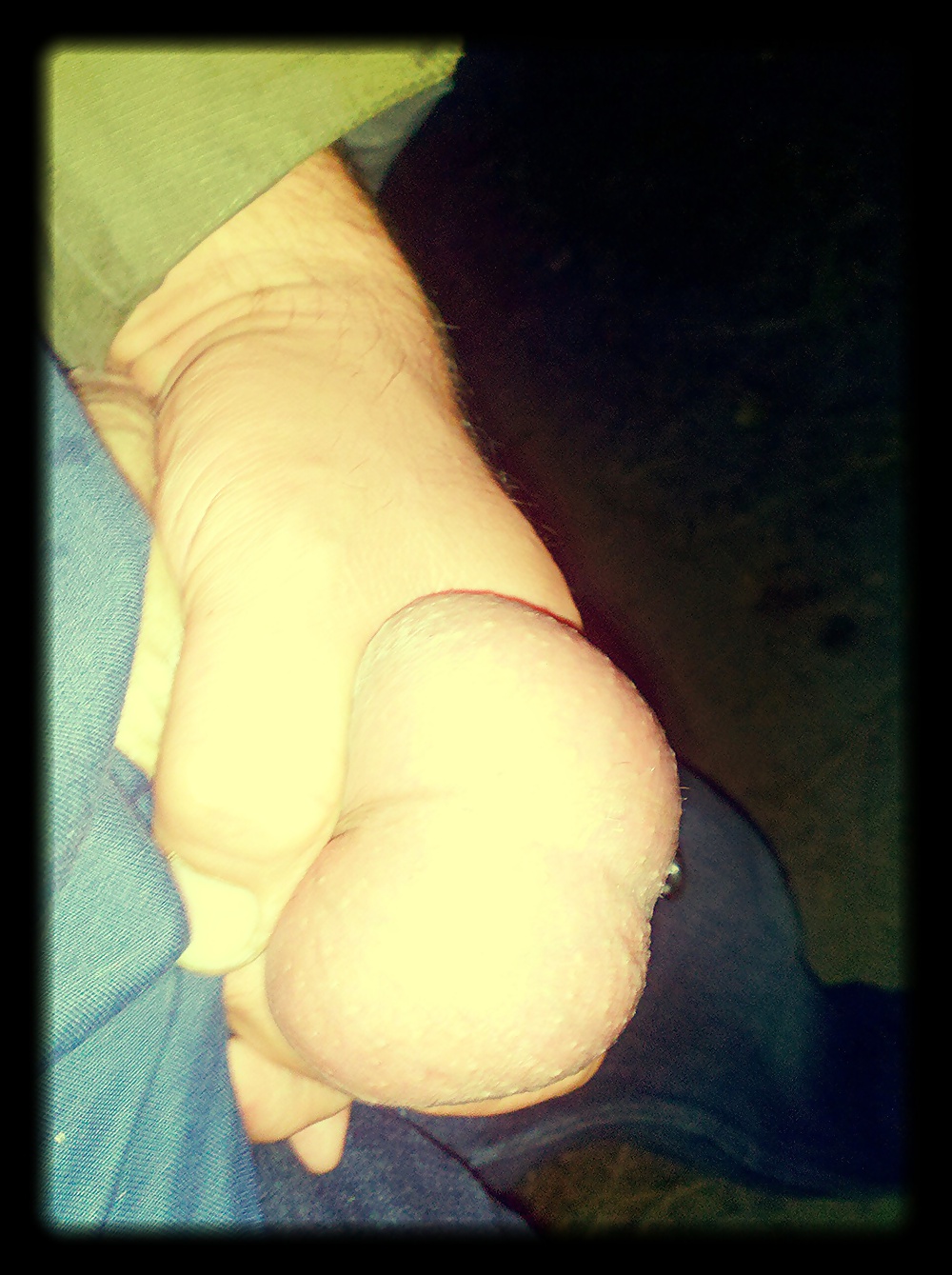 Pegasus71
 #36018093