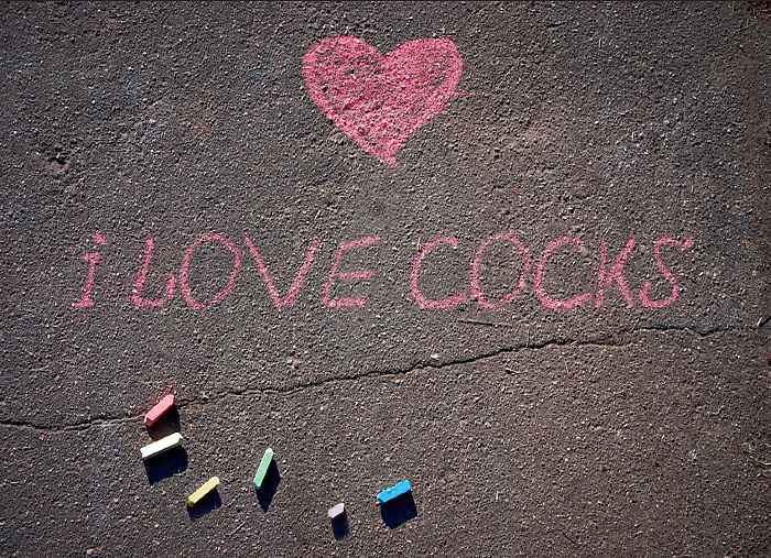 プロフィール文 
 #32091061