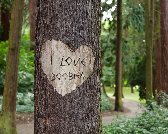 プロフィール文 
 #32091062