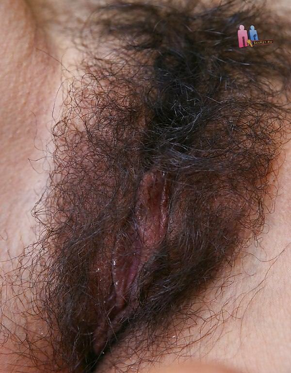 Hairy pussy whores #23600975