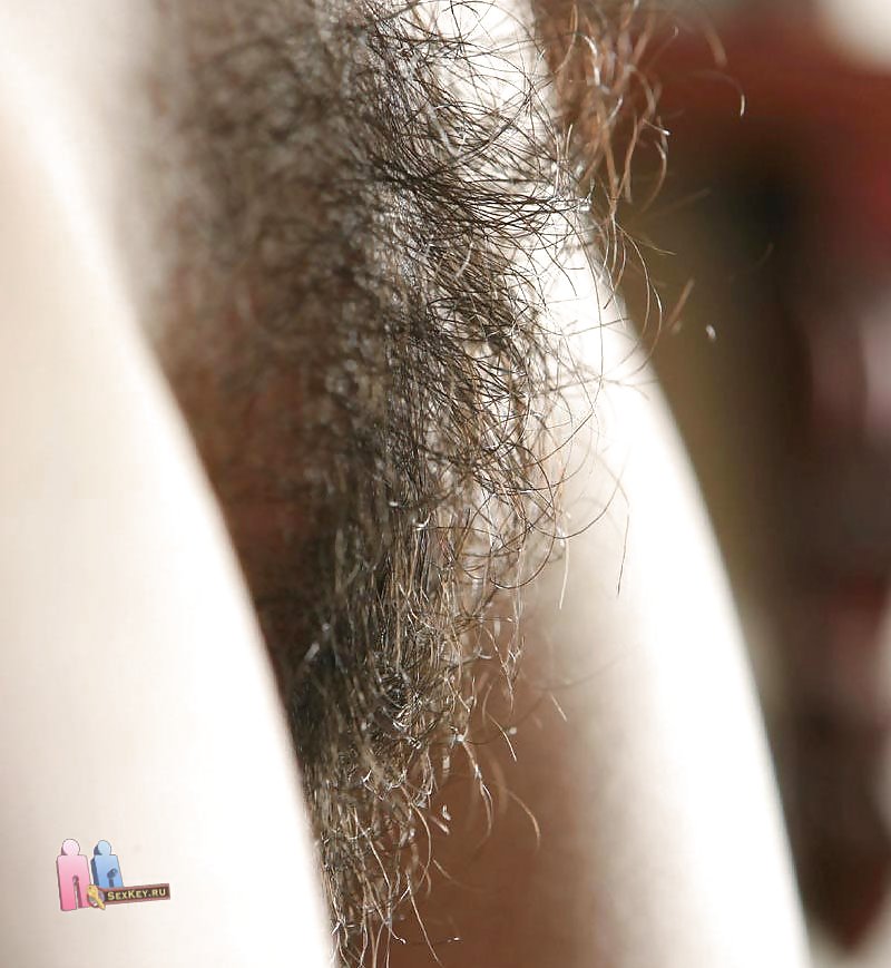 Hairy pussy whores #23601057