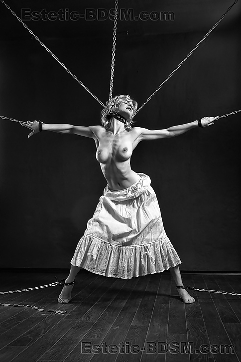 黒と白の941!
 #23913073