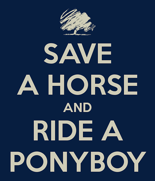 Ride a pony boy #25587260