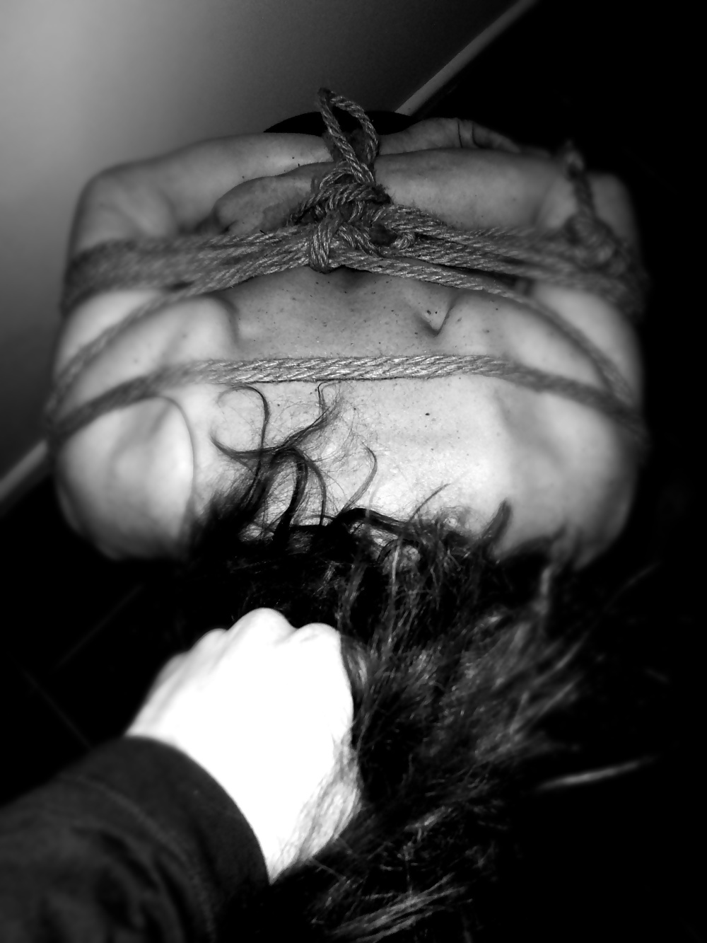 Ingrid Box-Ttied!
 #31802221