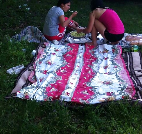 Spy picnic, fishing romanian #26592337