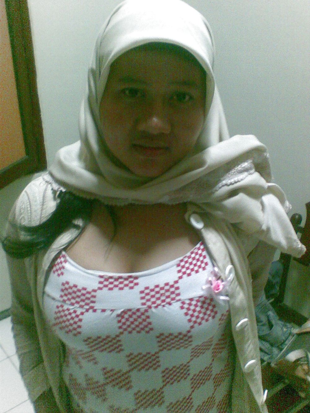 Malay Asian Tits Collection #38740645