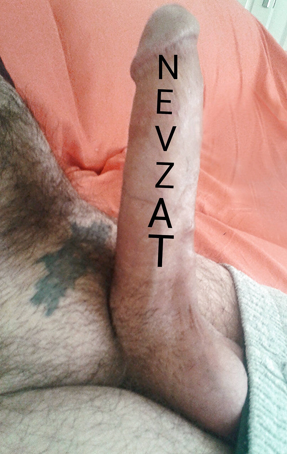 ベン・ネブザット(アレックス)
 #25694575