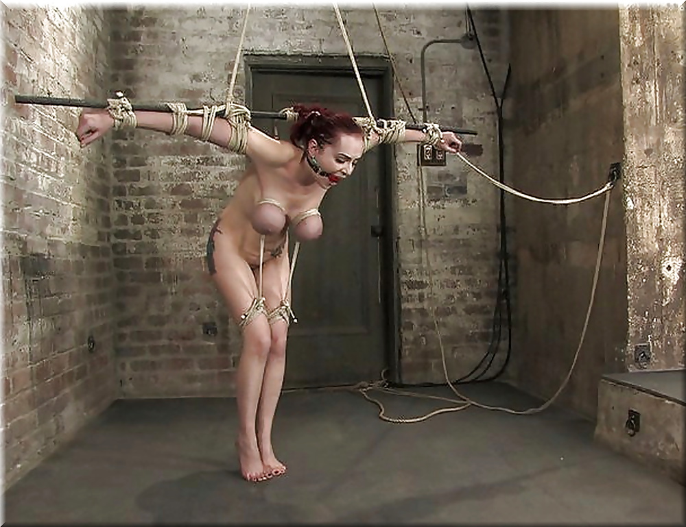 Lion's: bondage & bdsm! (3)
 #39375480