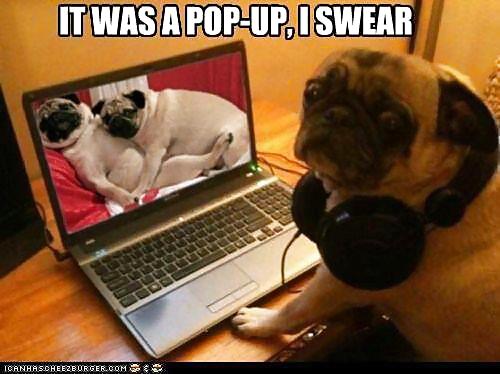 Funny gamer n etc
 #34510717