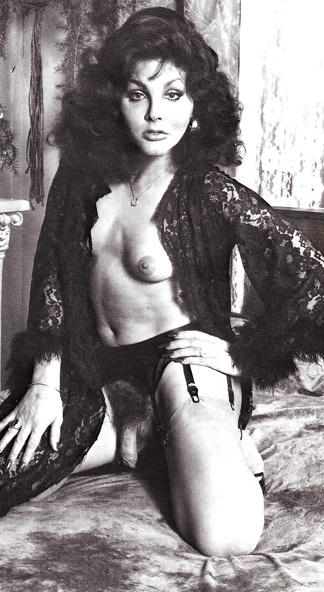 Wintage 10
 #38933730