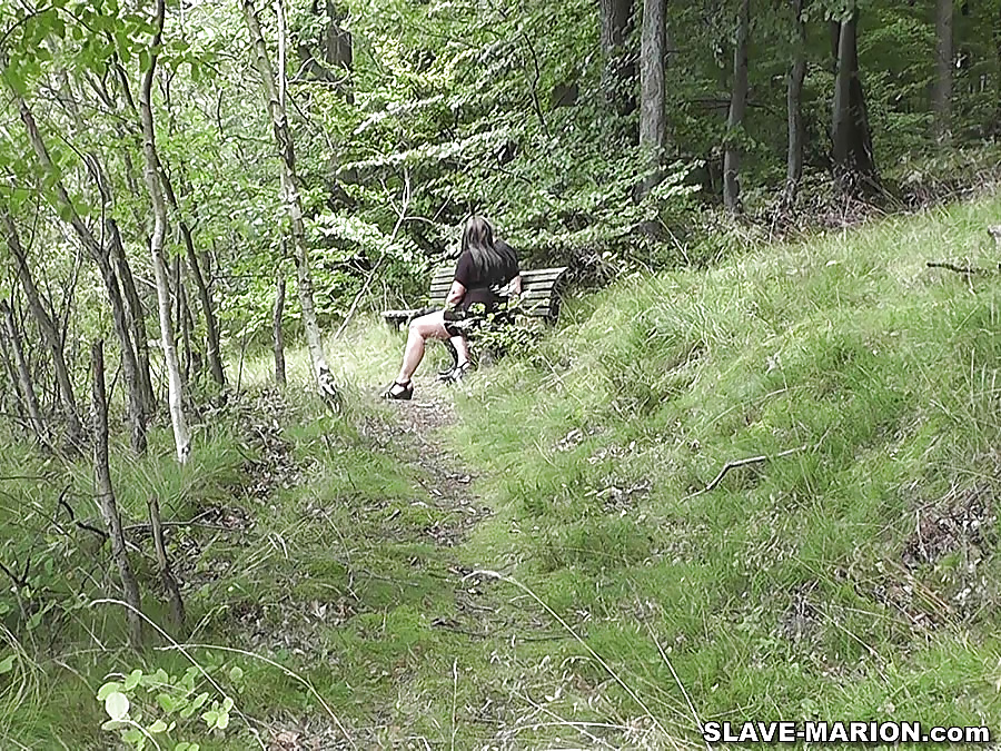 Femme Chaude Baisée Par Stangers Sur Un Banc De Parc #38875672