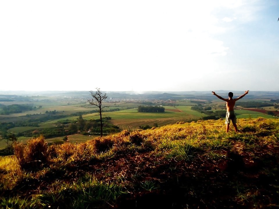 ミンガス・フォト
 #26206244