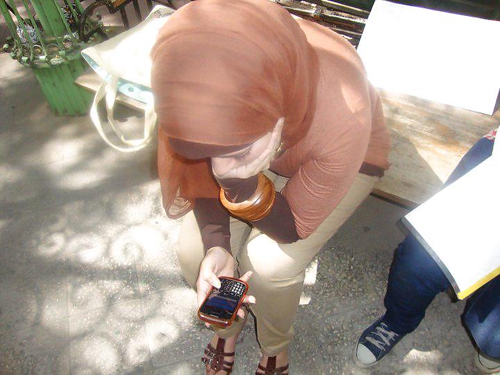 スージー
 #37887674