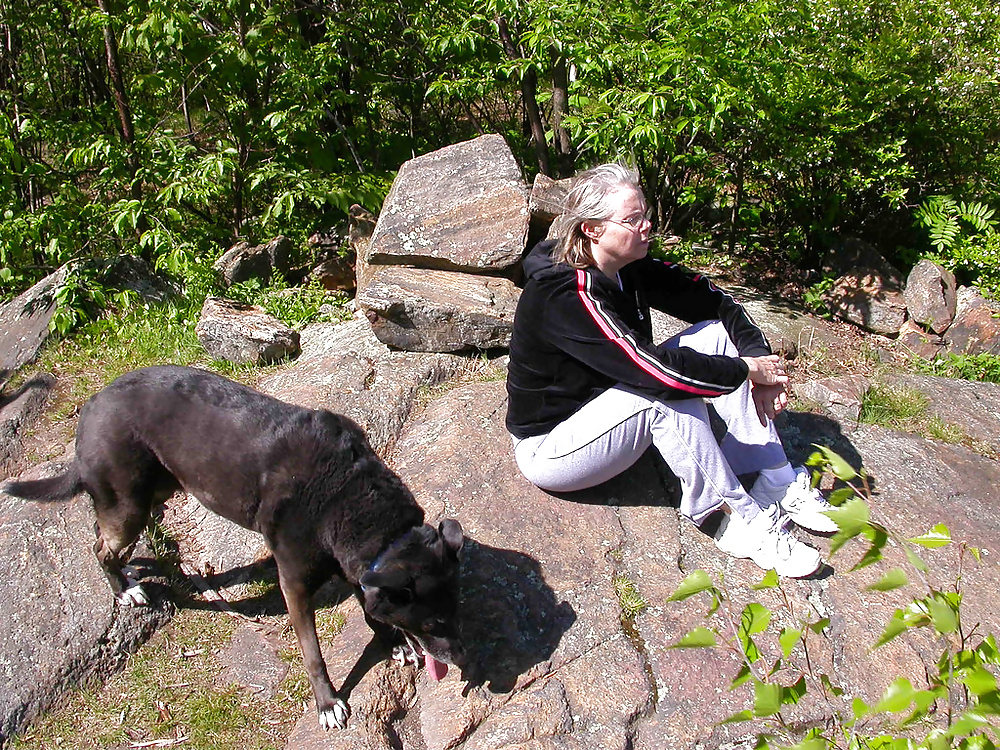 50 Year Old Real Swinger Tracie #39065423