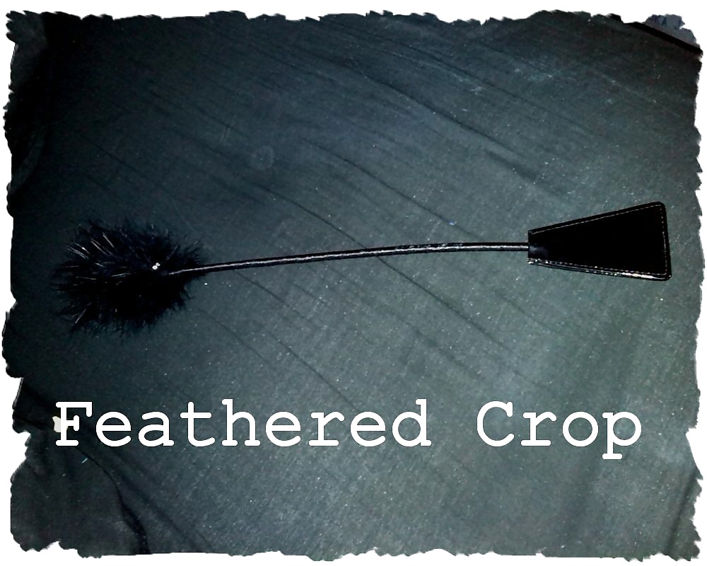 私のおもちゃ箱
 #32735746