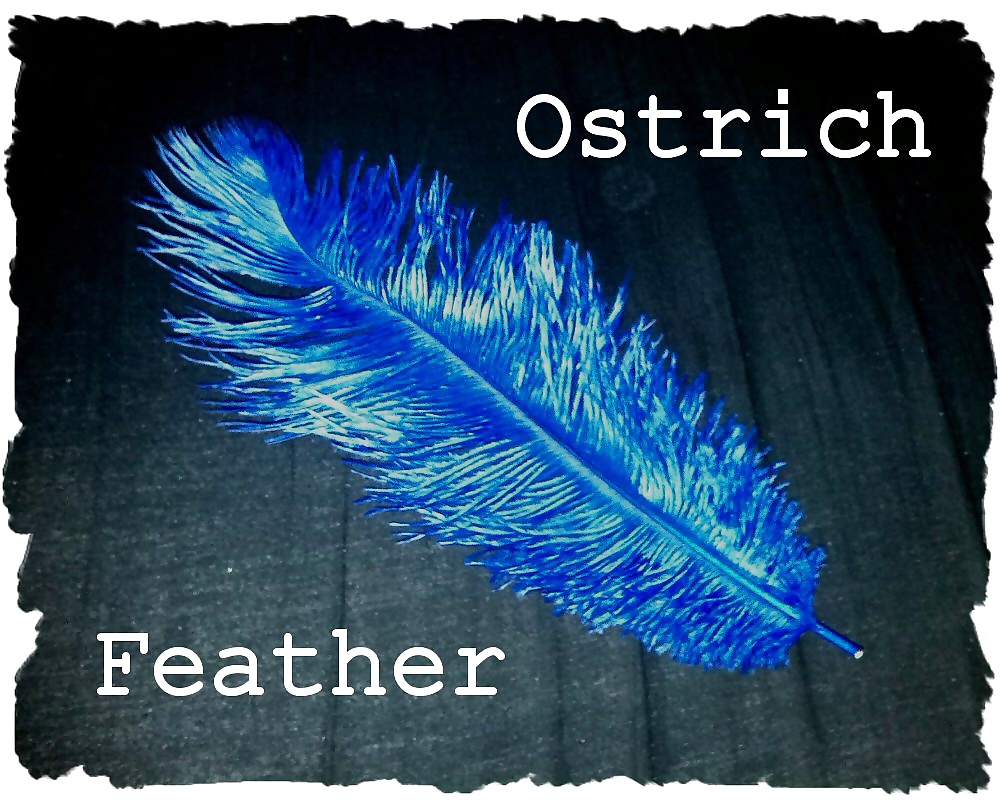 私のおもちゃ箱
 #32735808