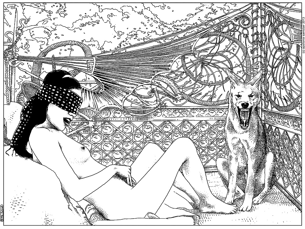 Immagine