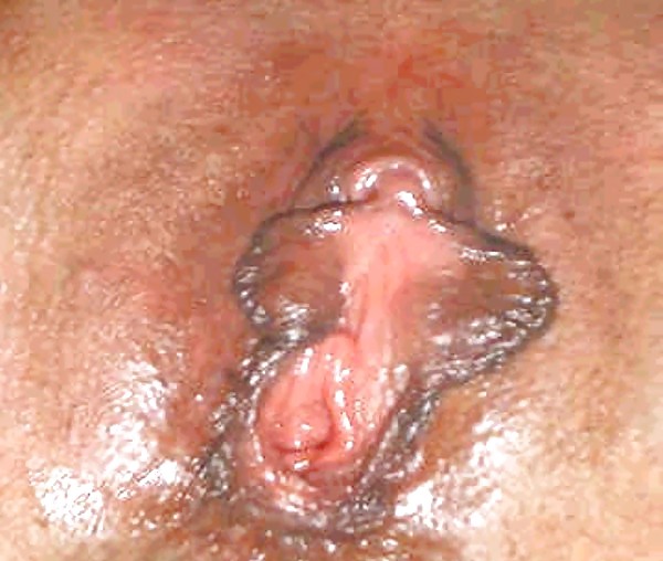 Pussies II
 #36832082