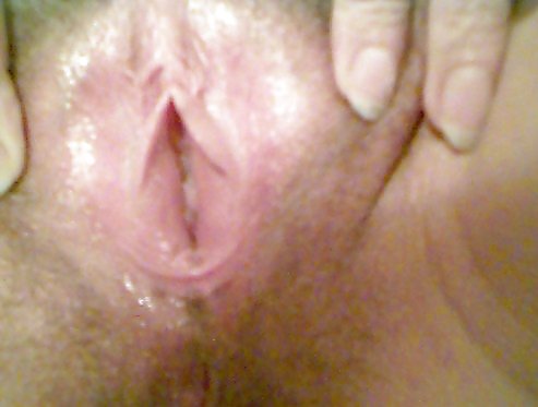 Pussies II
 #36832096