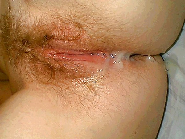 Pussies II
 #36832135