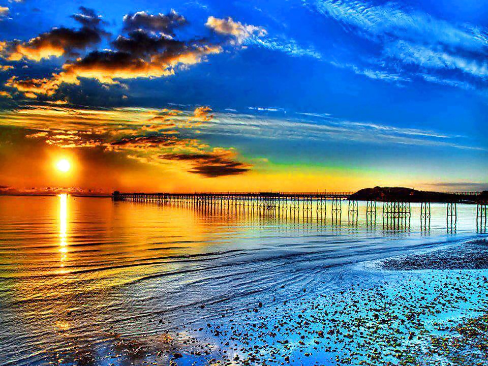 Wonderful Nature #31308097