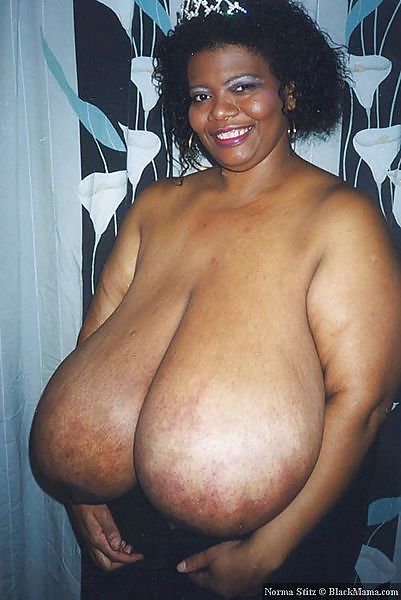 The Queen of TITS - Norma Stitz #23614115