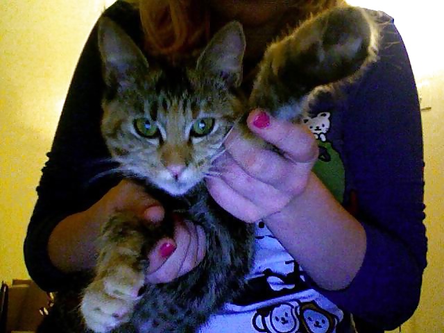 Diversión12
 #26142395