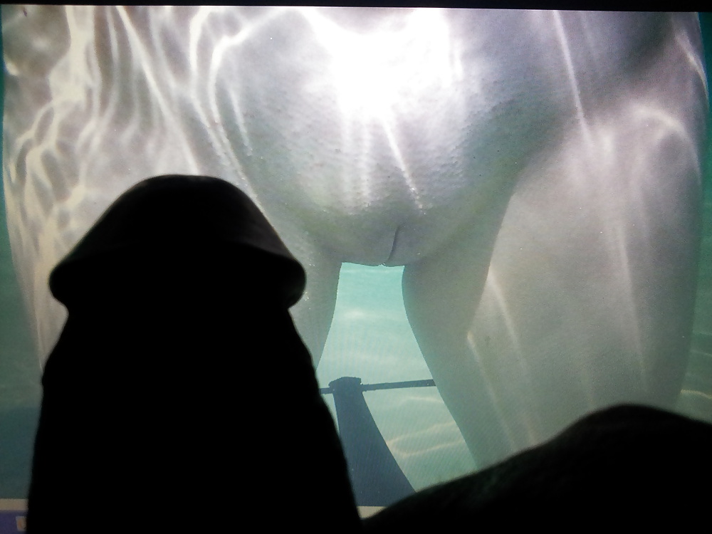 Tributo de seiten-sprung
 #35027297