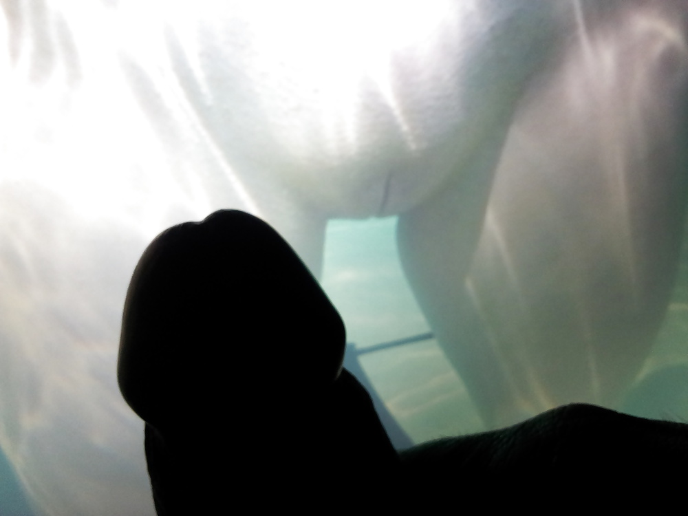 Tributo de seiten-sprung
 #35027300