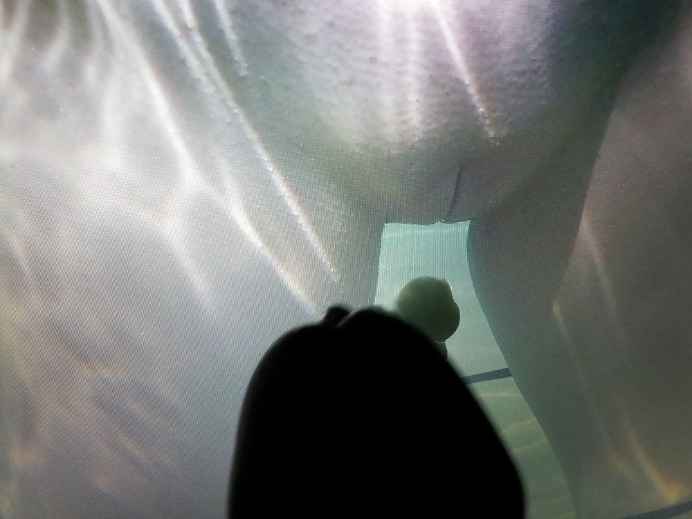 Tributo de seiten-sprung
 #35027304