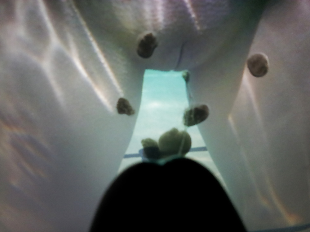 Tributo de seiten-sprung
 #35027306