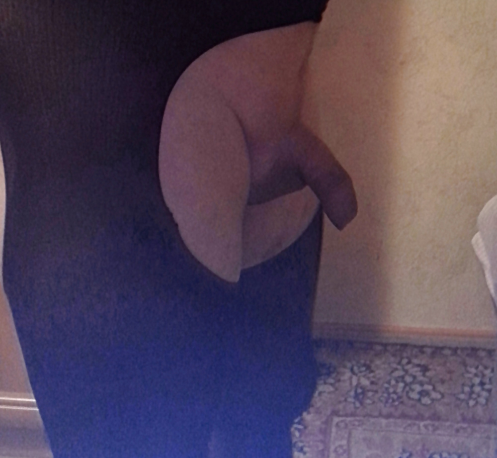 新しい写真
 #34893787