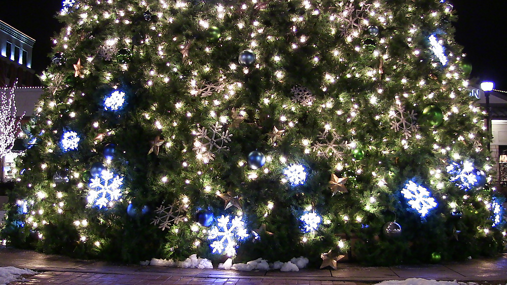 Trappy holidays (2012 y 2013)
 #39810786