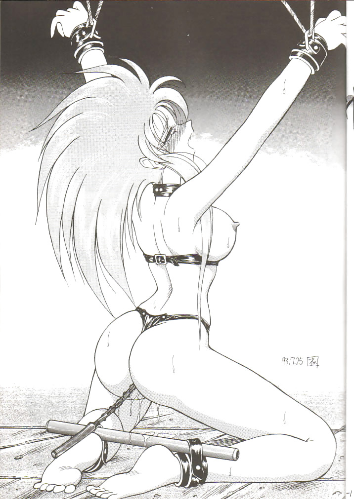 Favorite Anime Babe: Ryoko Hakubi #24111771