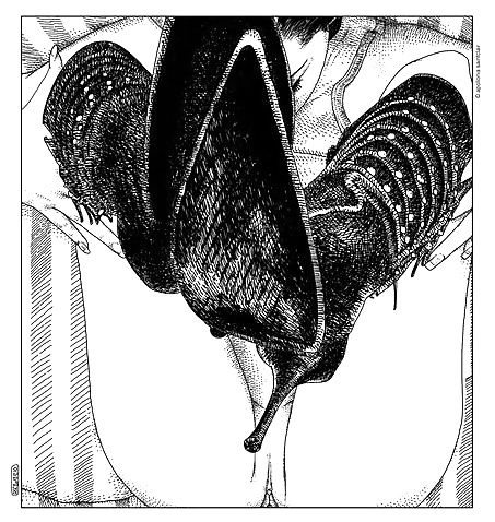 Bd (by apollonia saintclair)
 #34594909