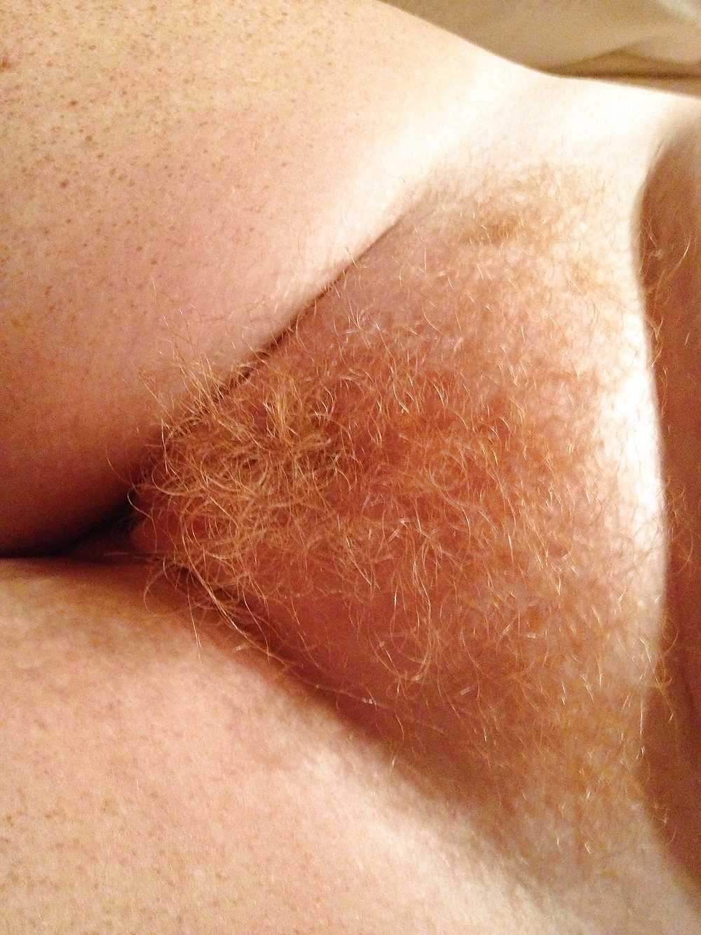 Redhead Hairy Slut Need Your Cock #32856464