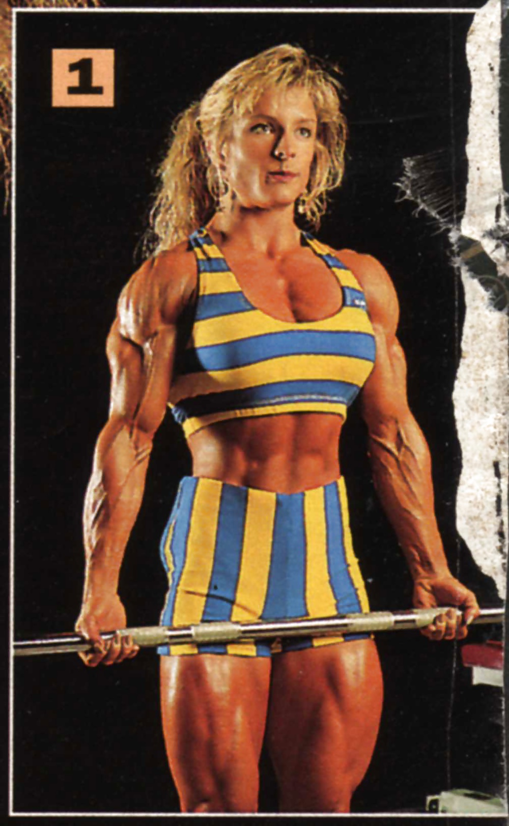 Sue price - bodybuilder donna
 #31187502