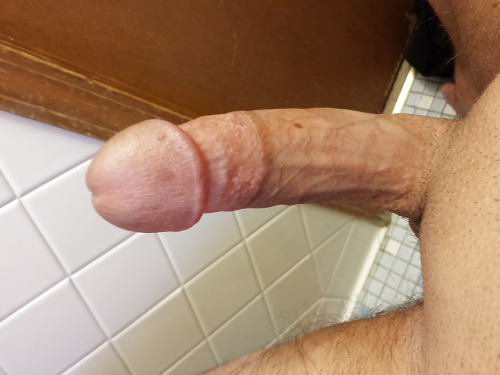Newest 1 #33522528