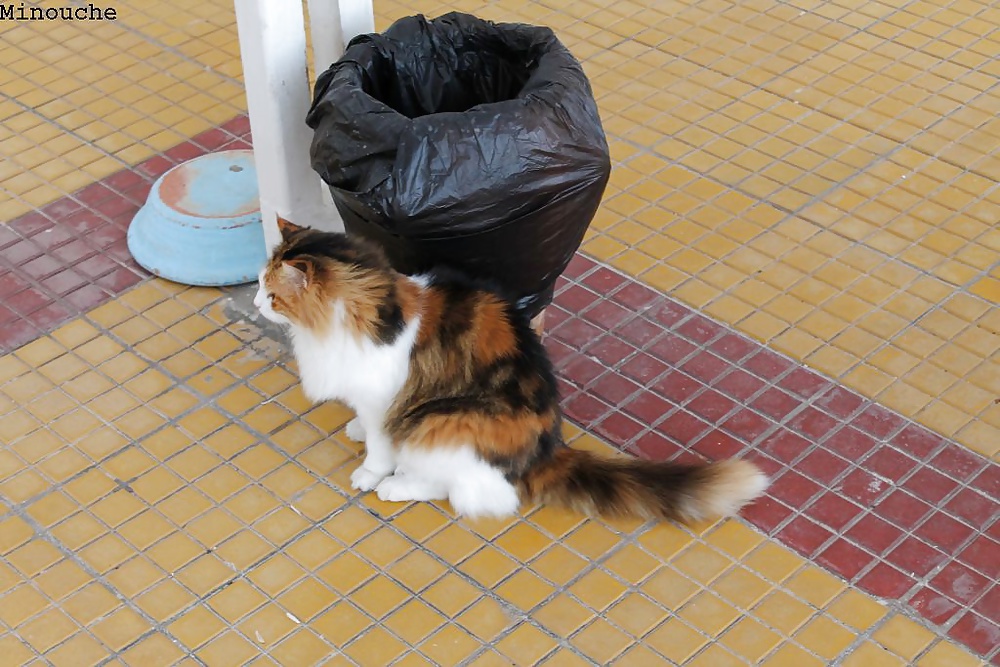 Port el Kantaoui #30882614