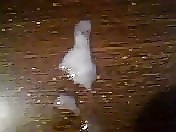 Viejos selfies traviesos
 #34159610