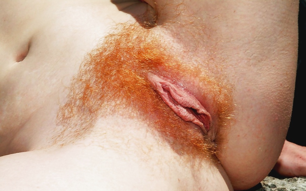 Redheads with hairy pussies 2 #25990385