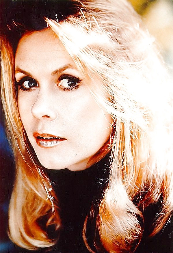 Masturbiamoci sopra ... elizabeth montgomery
 #25103224