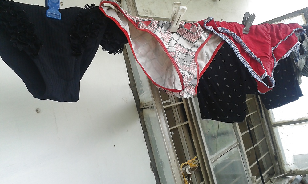 Panties hanging #29075404