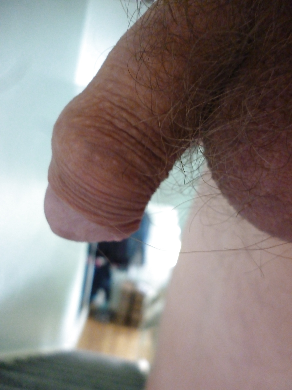 Photos of my cock #27018852