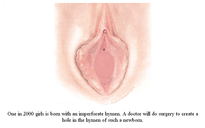 セックスのコツ
 #40385890