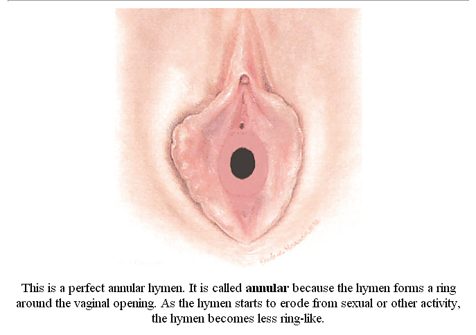 セックスのコツ
 #40385898